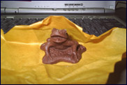 カエルチョコの写真